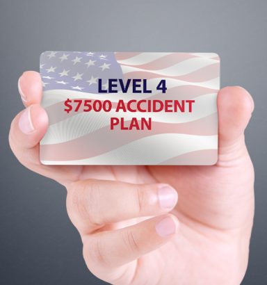 Level 4 Membership - Individual